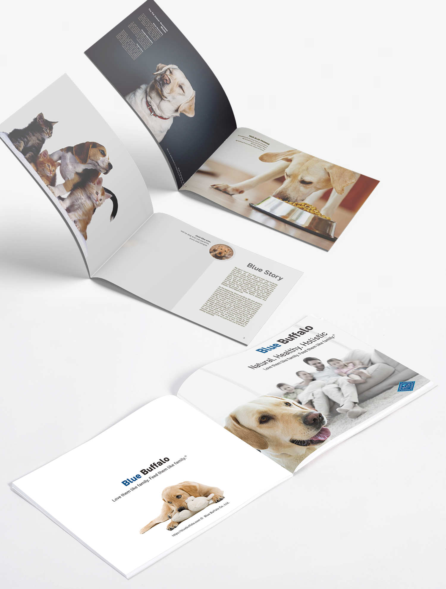 Blue_Buffalo Blue_Buffalo